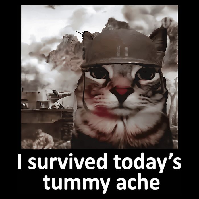 I Survived TodayS Tummy Ache Toddler T-Shirt