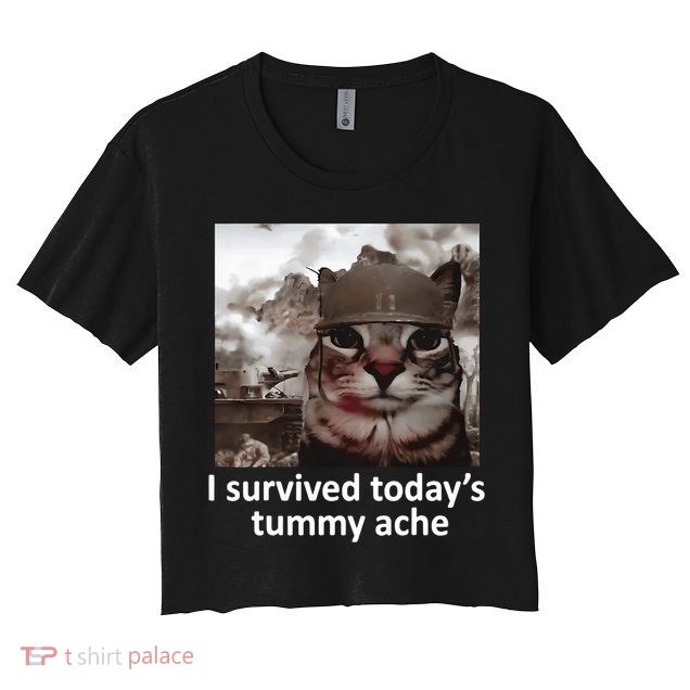I Survived TodayS Tummy Ache Crop Top