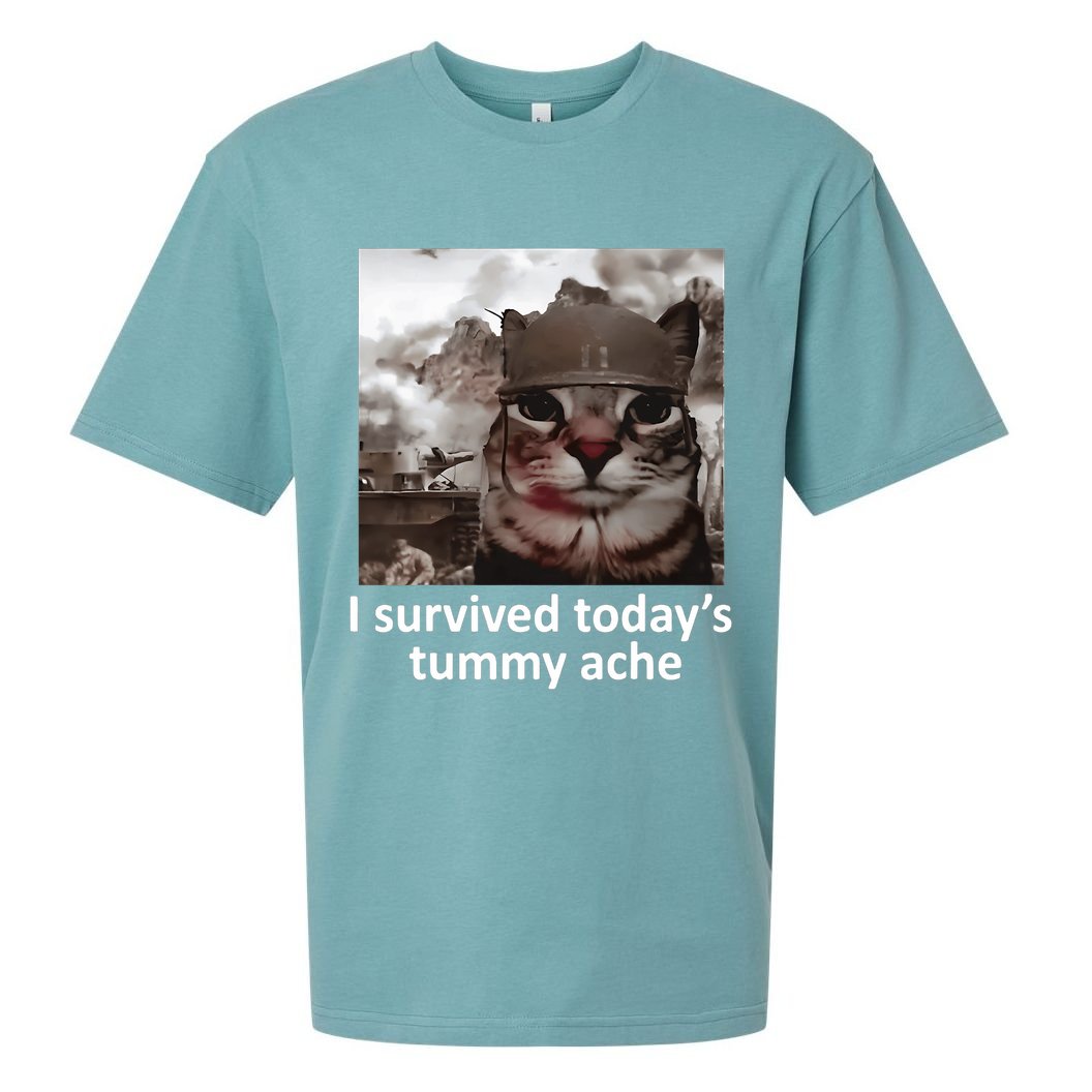 I Survived TodayS Tummy Ache Sueded Cloud Jersey T-Shirt