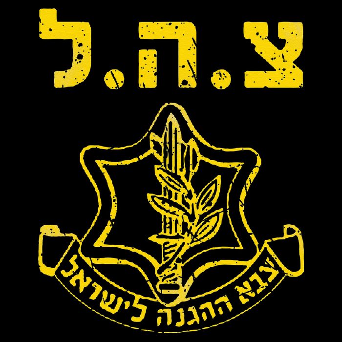 IDF Support Tzahal Tees Israel Defense Forces T-Shirt