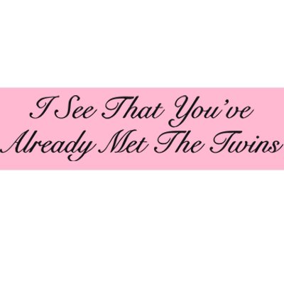 I See That YouRe Already Met The Twins Bumper Sticker