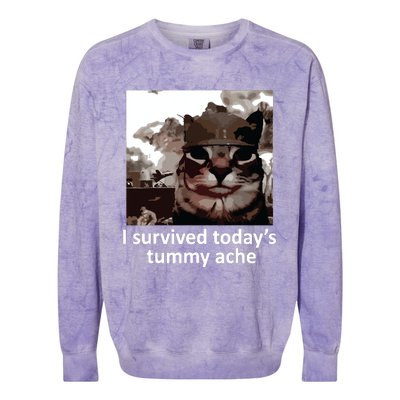 I Survived Todays Tummy Ache Colorblast Crewneck Sweatshirt