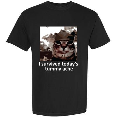 I Survived Todays Tummy Ache Garment-Dyed Heavyweight T-Shirt