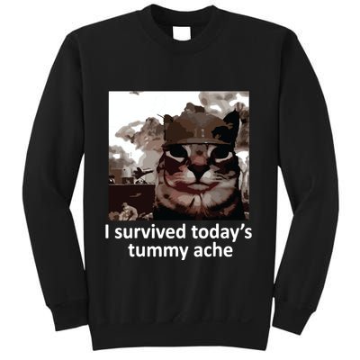 I Survived Todays Tummy Ache Sweatshirt