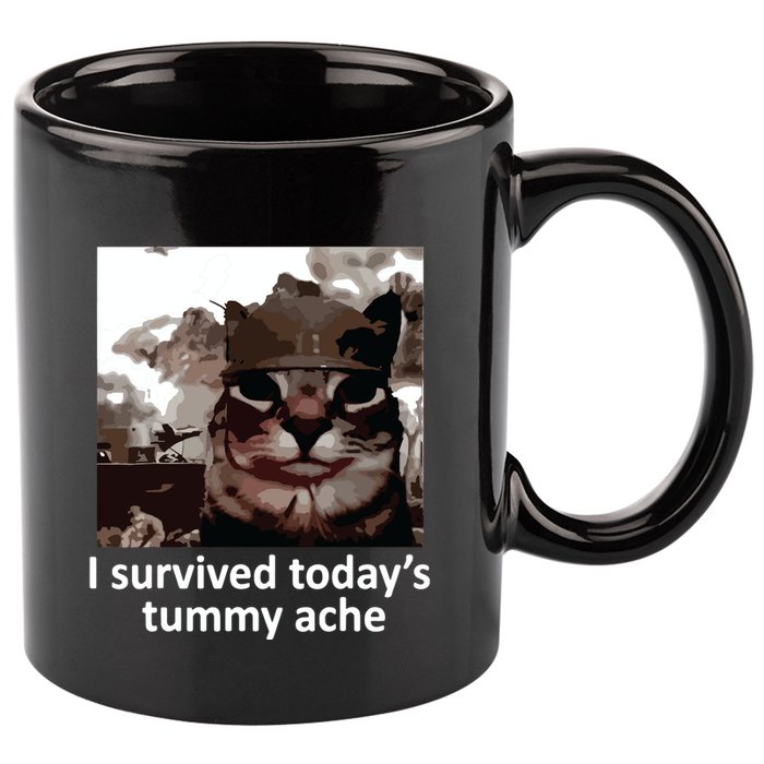 I Survived Todays Tummy Ache 11oz C Handle Ceramic Mug