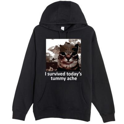 I Survived Todays Tummy Ache Premium Pullover Hoodie
