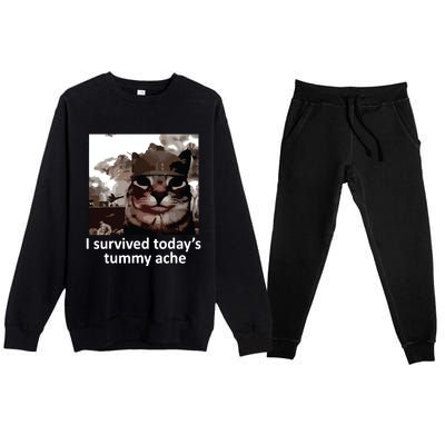 I Survived Todays Tummy Ache Premium Crewneck Sweatsuit Set