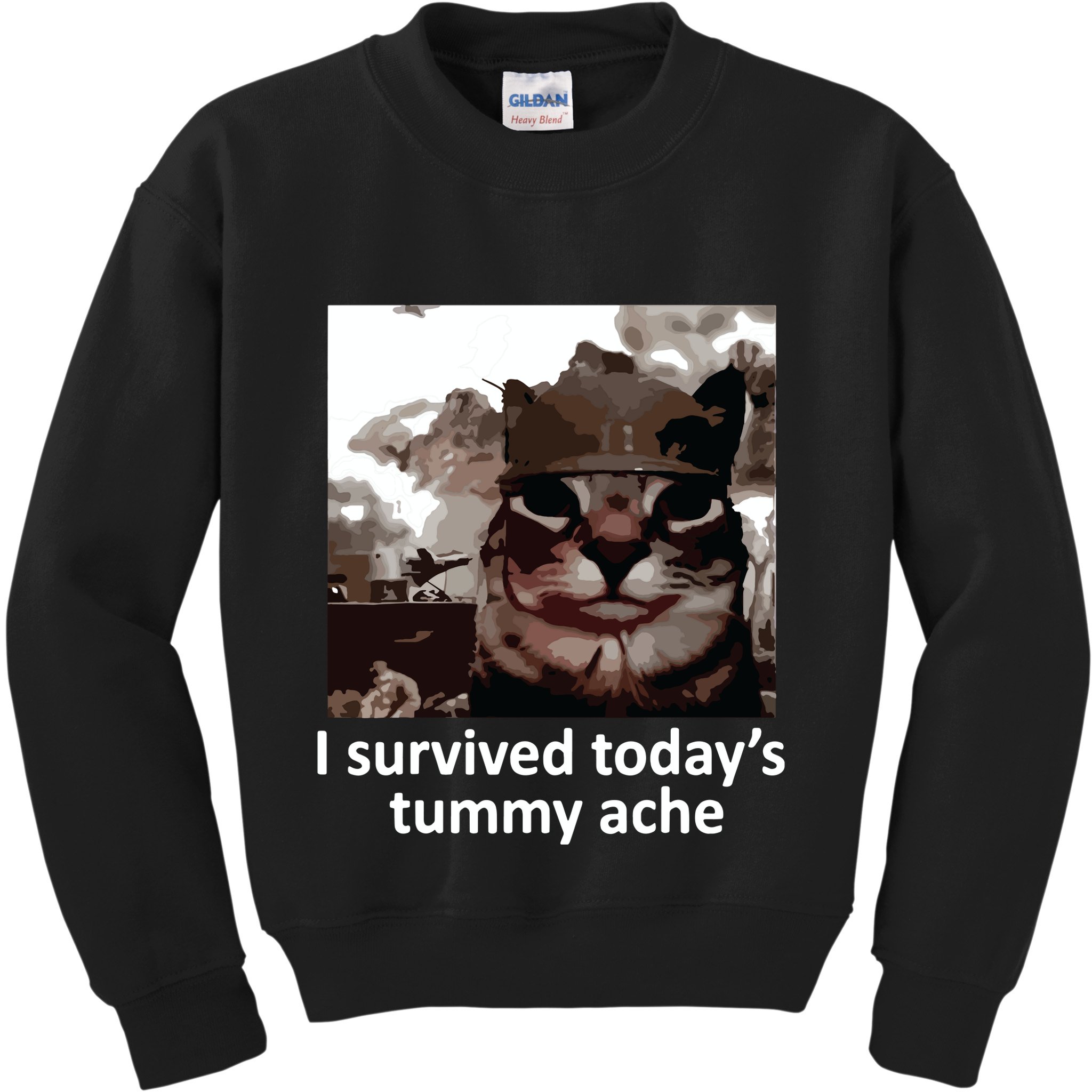 I Survived Todays Tummy Ache Kids Sweatshirt