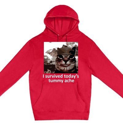 I Survived Todays Tummy Ache Premium Pullover Hoodie