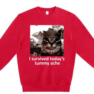 I Survived Todays Tummy Ache Premium Crewneck Sweatshirt