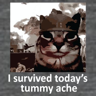 I Survived Todays Tummy Ache T-Shirt