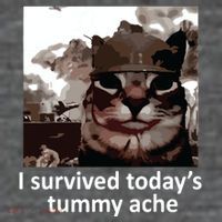 I Survived Todays Tummy Ache T-Shirt
