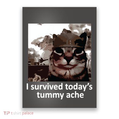 I Survived Todays Tummy Ache Poster