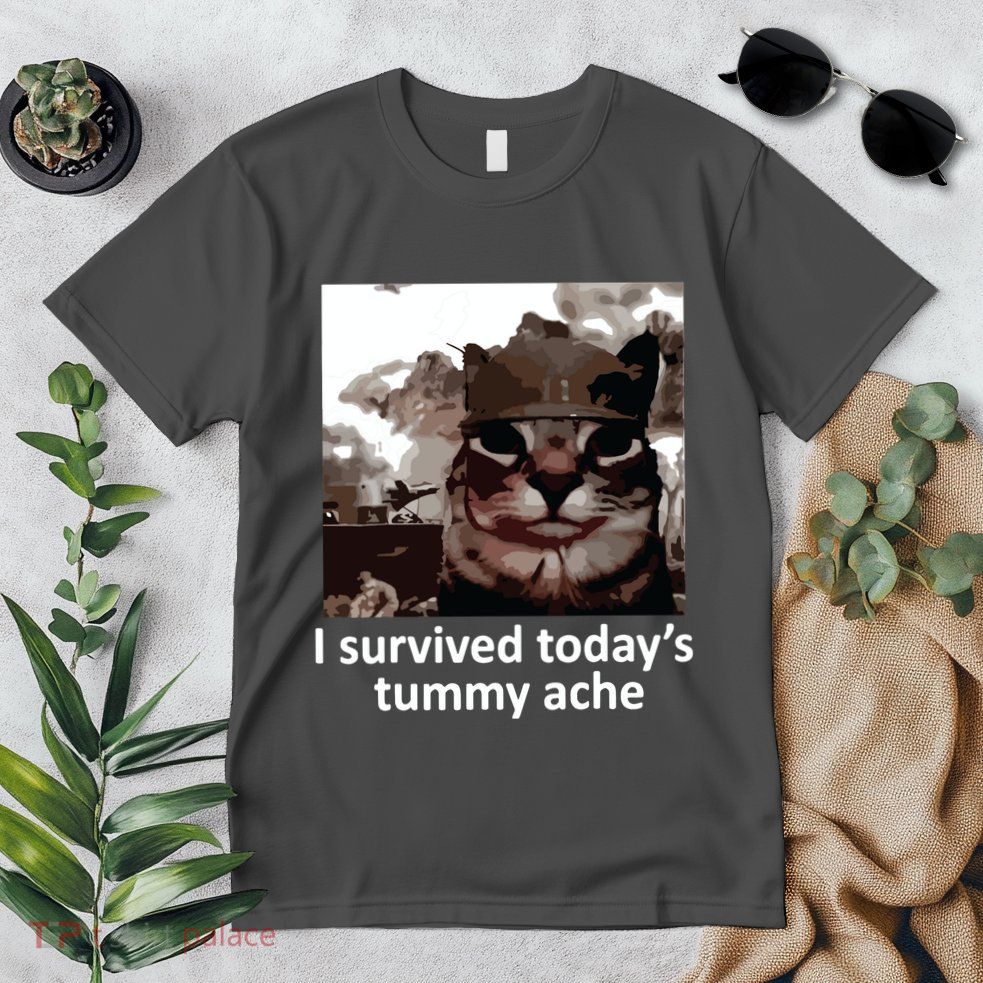 I Survived Todays Tummy Ache Premium T-Shirt