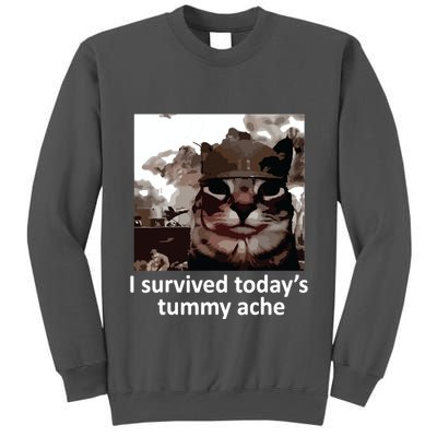 I Survived Todays Tummy Ache Tall Sweatshirt