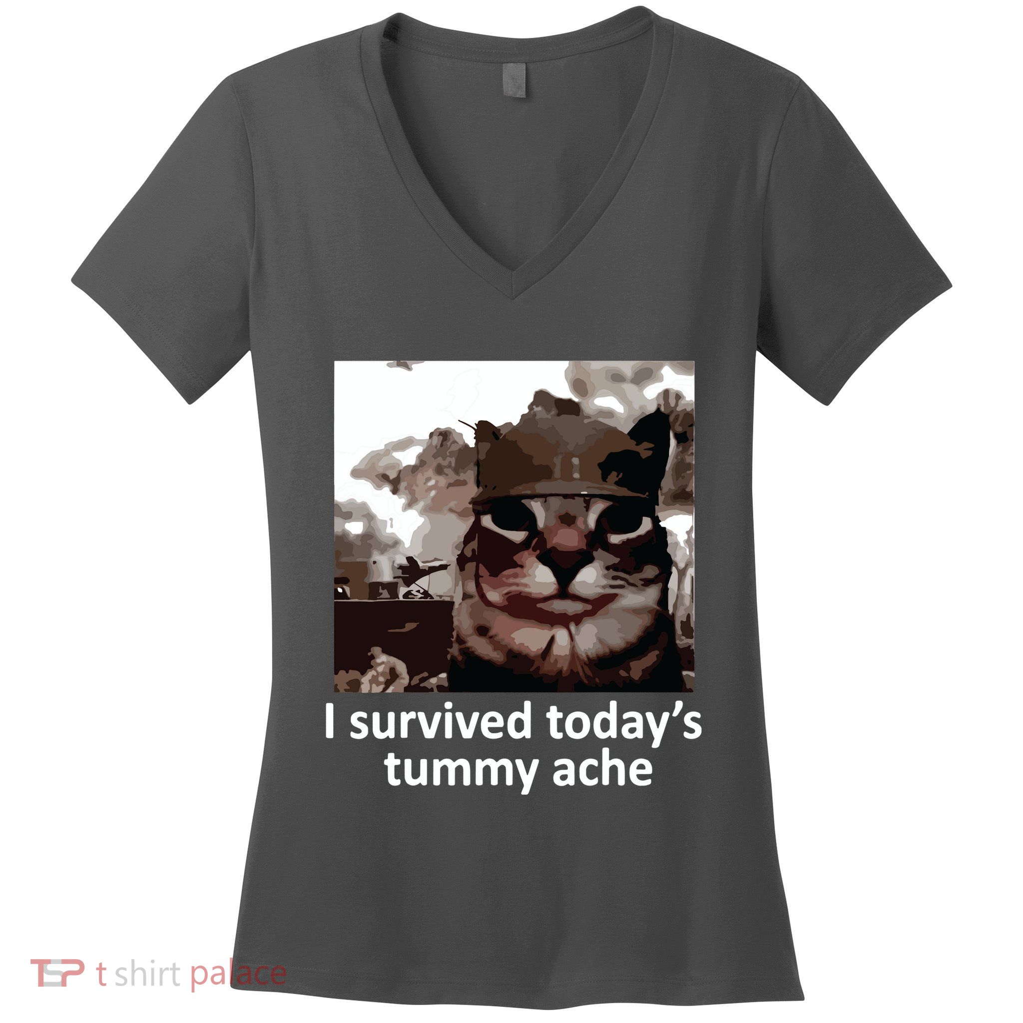 I Survived Todays Tummy Ache Women's V-Neck T-Shirt