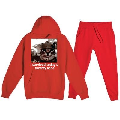 I Survived Todays Tummy Ache Premium Hooded Sweatsuit Set