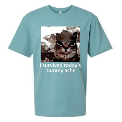 I Survived Todays Tummy Ache Sueded Cloud Jersey T-Shirt