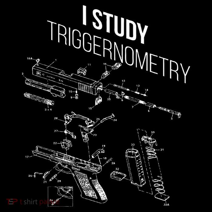I Study Triggernometry Toddler Sweatshirt