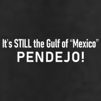 ItS Still The Gulf Of Mexico Pendejo 7 Panel Mesh Trucker Snapback Hat