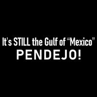 ItS Still The Gulf Of Mexico Pendejo Cooling Performance Crew T-Shirt