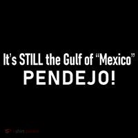 ItS Still The Gulf Of Mexico Pendejo 16 in Basic Backpack