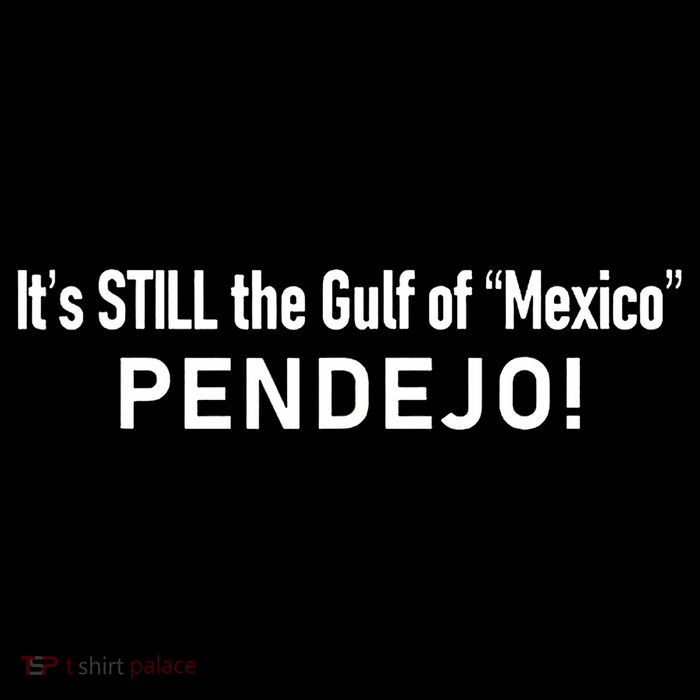 ItS Still The Gulf Of Mexico Pendejo Tank Top