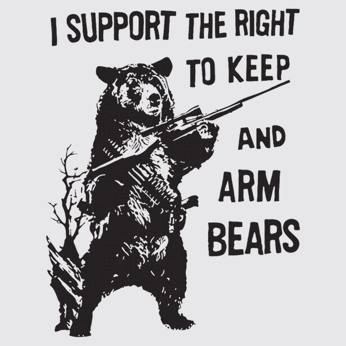 I Support The Right To Keep And Arm Bear Funny Design Womens Funnel Neck Pullover Hood