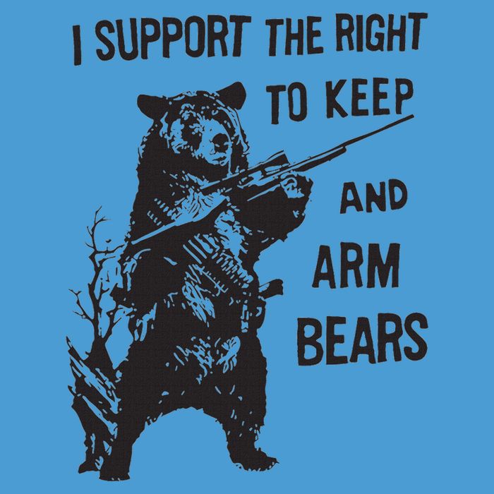I Support The Right To Keep And Arm Bear Funny Design Tie Dye Hoodie