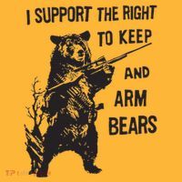 I Support The Right To Keep And Arm Bear Funny Design Pom Pom 12in Knit Beanie