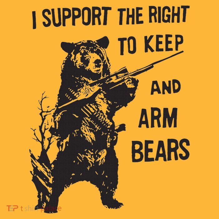 I Support The Right To Keep And Arm Bear Funny Design Pom Pom 12in Knit Beanie