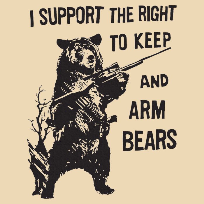 I Support The Right To Keep And Arm Bear Funny Design Bag