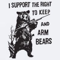 I Support The Right To Keep And Arm Bear Funny Design Sueded Cloud Jersey T-Shirt