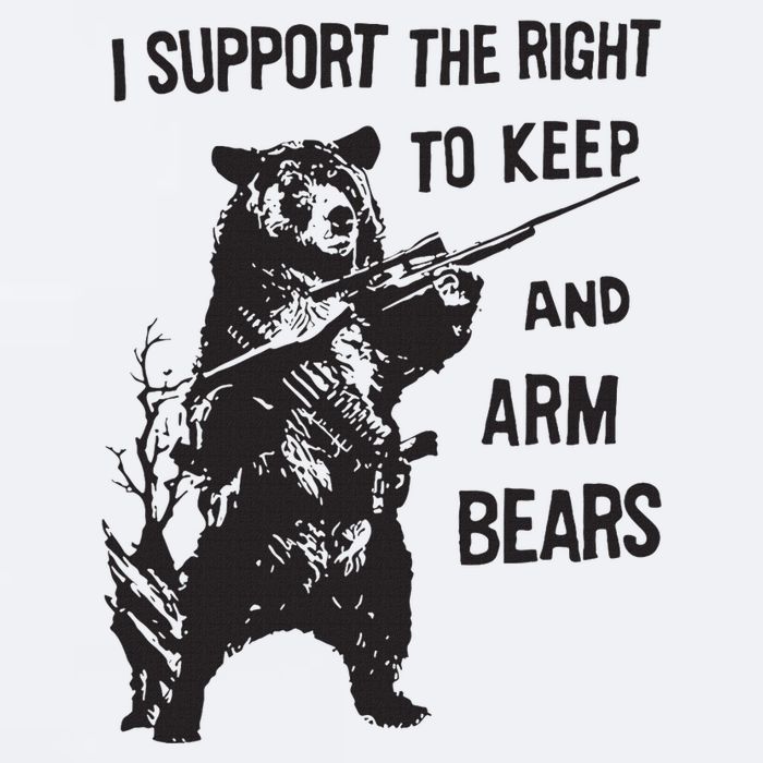 I Support The Right To Keep And Arm Bear Funny Design Sueded Cloud Jersey T-Shirt