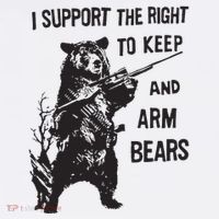 I Support The Right To Keep And Arm Bear Funny Design Mesh Reversible Basketball Jersey Tank