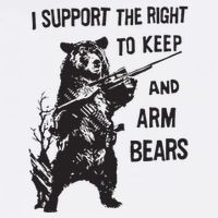 I Support The Right To Keep And Arm Bear Funny Design Magnet