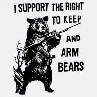 I Support The Right To Arm Bears T Shirt Funny Hunting T Shirt Saying Hoodie