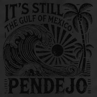 Its Still The Gulf Of Mexico Pendejo Gift 7 Panel Mesh Trucker Snapback Hat