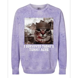 I Survived TodayS Tummy Ache Groovy Funny Cat Colorblast Crewneck Sweatshirt