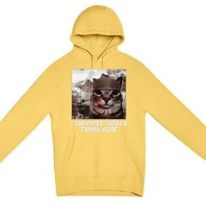 I Survived TodayS Tummy Ache Groovy Funny Cat Premium Pullover Hoodie