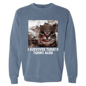 I Survived TodayS Tummy Ache Groovy Funny Cat Garment-Dyed Sweatshirt