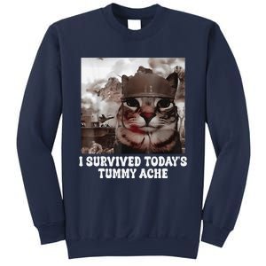 I Survived TodayS Tummy Ache Groovy Funny Cat Sweatshirt