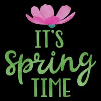 It's Spring Time Flower USA-Made Doggie Bandana