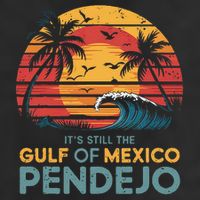 Its Still The Gulf Of Mexico Pendejo Gulf Of Mexico Summer 7 Panel Mesh Trucker Snapback Hat