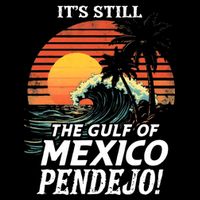 ItS Still The Gulf Of Mexico Pendejo Cooling Performance Crew T-Shirt