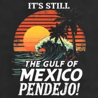 ItS Still The Gulf Of Mexico Pendejo Adult Drive Performance Visor