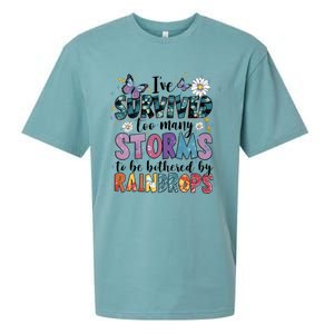 IVe Survived Too Many Storms To Be Bothered By Raindrops Sueded Cloud Jersey T-Shirt