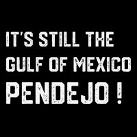 Its Still The Gulf Of Mexico Pendejo City Backpack