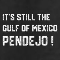 Its Still The Gulf Of Mexico Pendejo 11oz C Handle Ceramic Mug