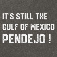 Its Still The Gulf Of Mexico Pendejo Cotton Canvas Backpack